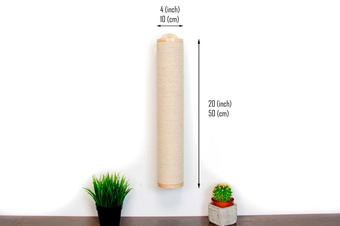 Cat Scratcher Post